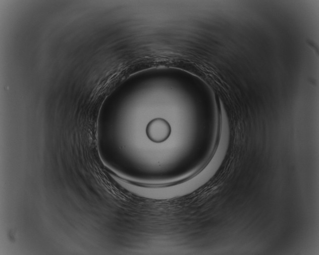 X0000101420916200807141151