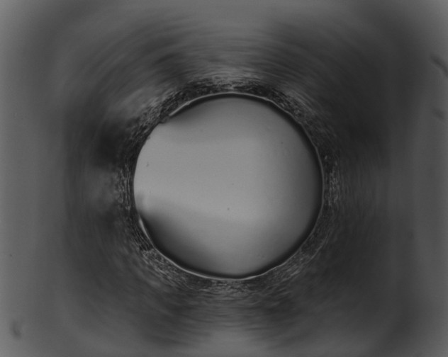 X0000101420917200807141151