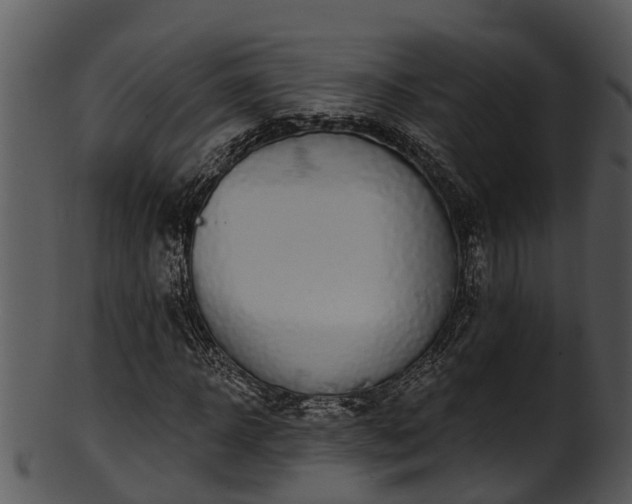 X0000101420918200807141151