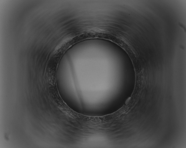 X0000101420919200807141151