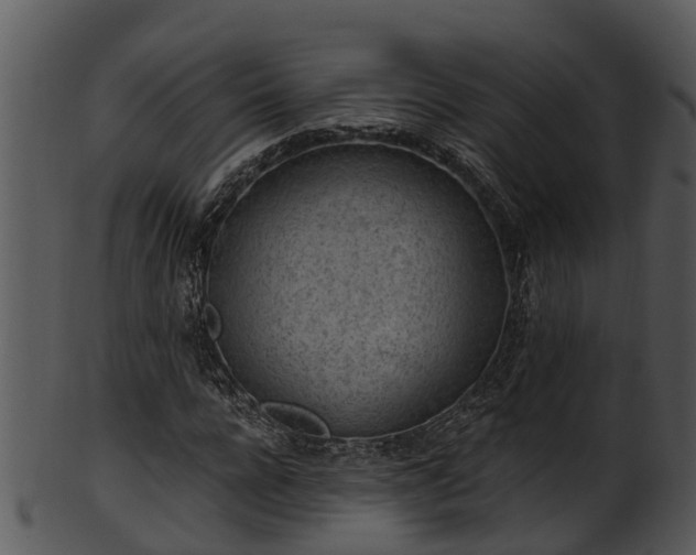 X0000101420920200807141151