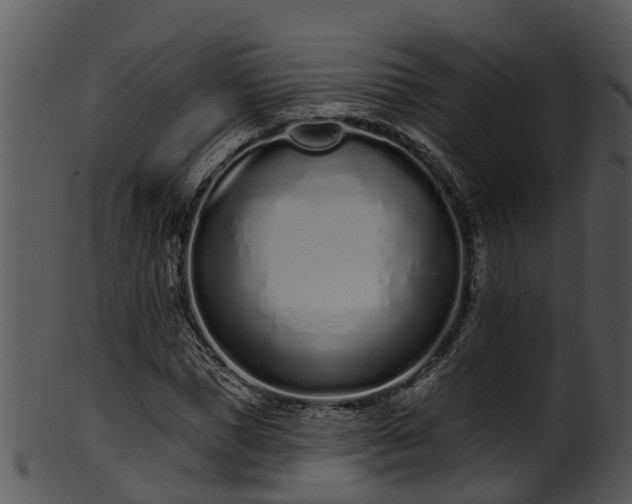 X0000101420921200807141151