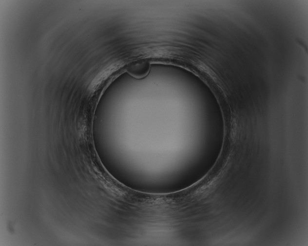 X0000101420922200807141151