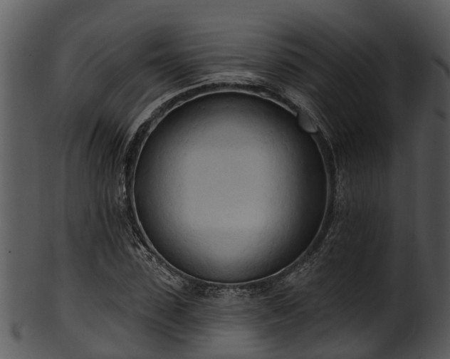 X0000101420923200807141151