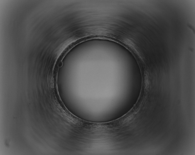 X0000101420924200807141151
