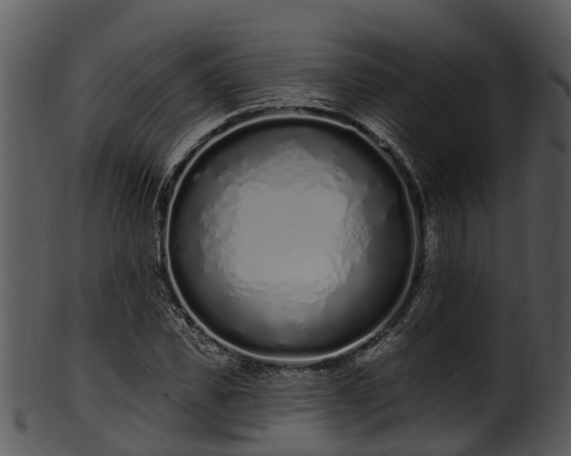 X0000101420925200807141151