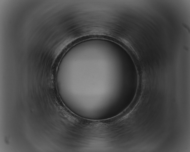 X0000101420926200807141151