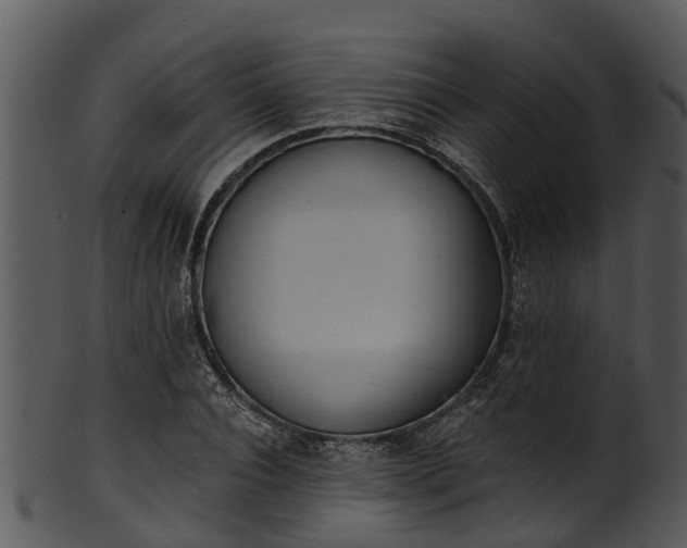 X0000101420928200807141151