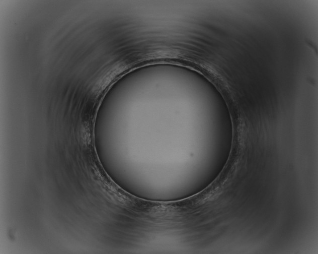 X0000101420929200807141151