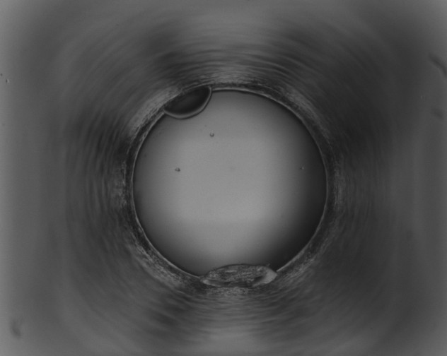 X0000101420930200807141151