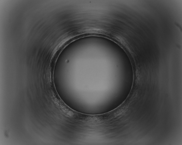 X0000101420931200807141151