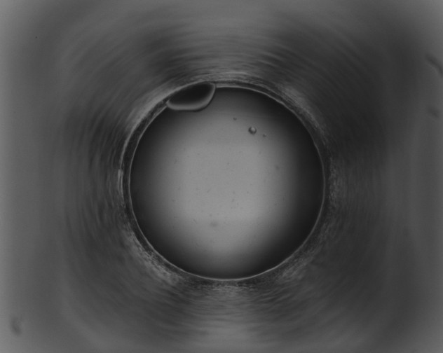 X0000101420932200807141151