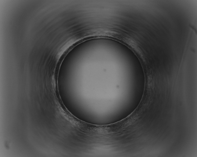 X0000101420936200807141151