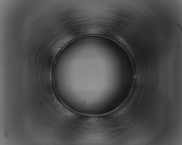 X0000101420938200807141151