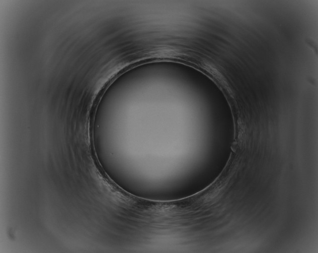 X0000101420939200807141151