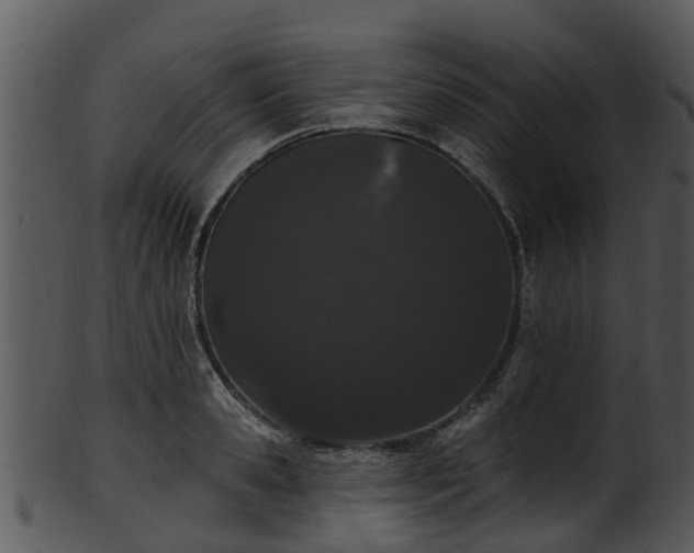 X0000101420941200807141151