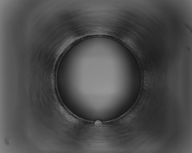X0000101420942200807141151