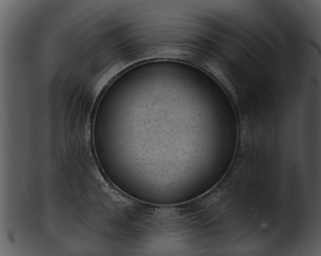 X0000101420944200807141151