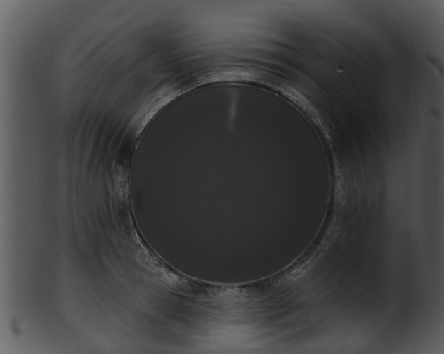 X0000101420945200807141151