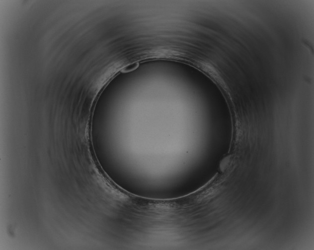 X0000101420946200807141151