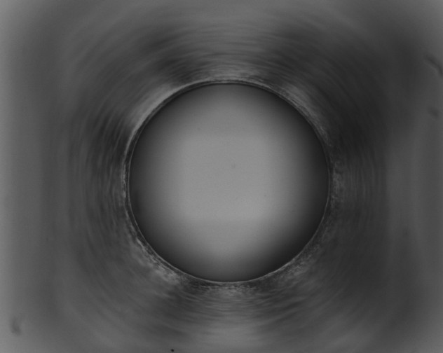 X0000101420948200807141151