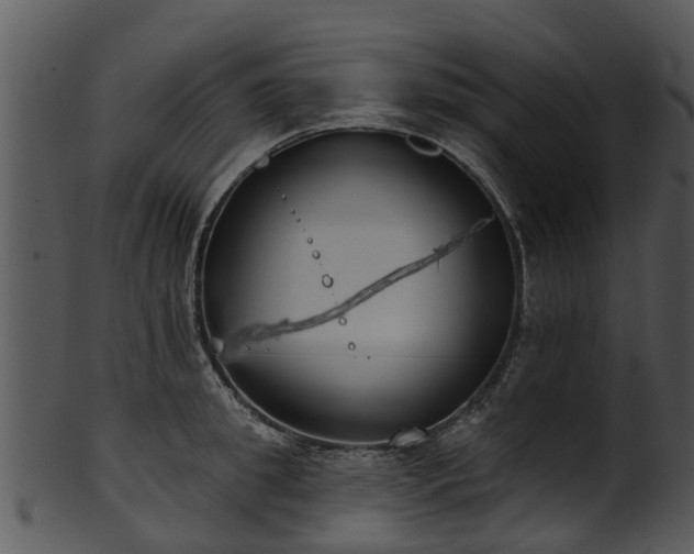 X0000101420949200807141151