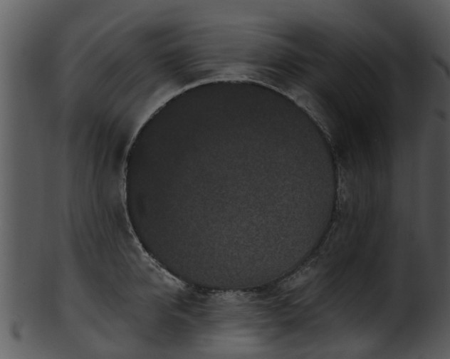 X0000101420950200807141151