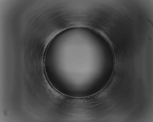 X0000101420951200807141151