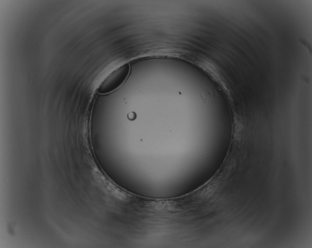X0000101420952200807141151