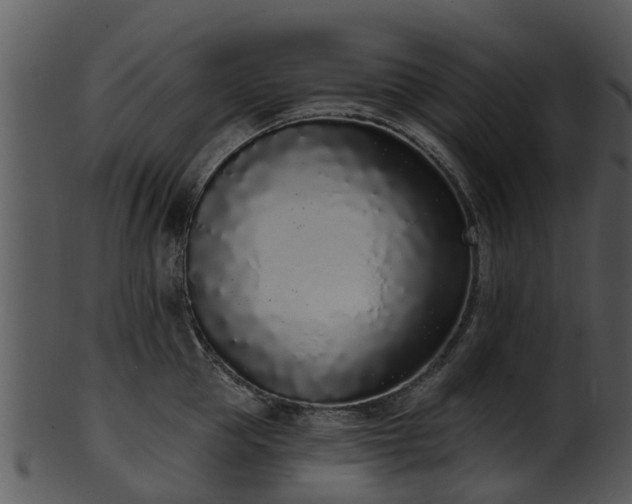 X0000101420953200807141151