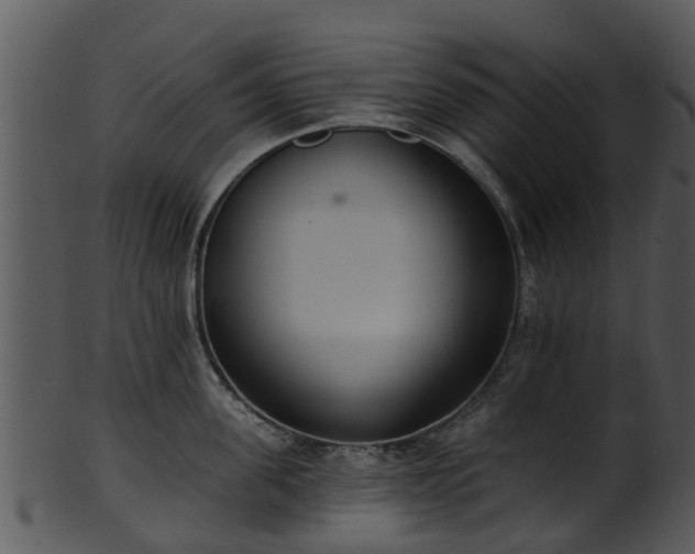 X0000101420955200807141151