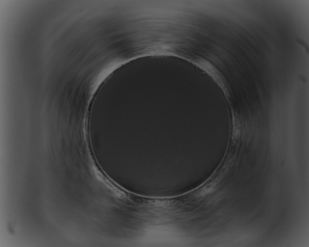X0000101420958200807141151