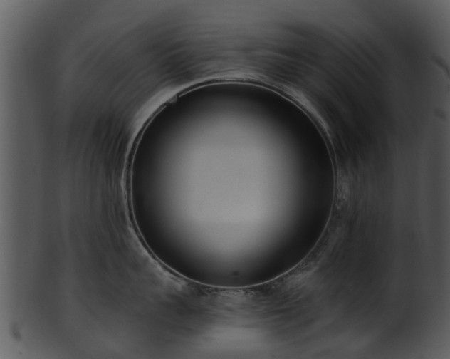 X0000101420959200807141151
