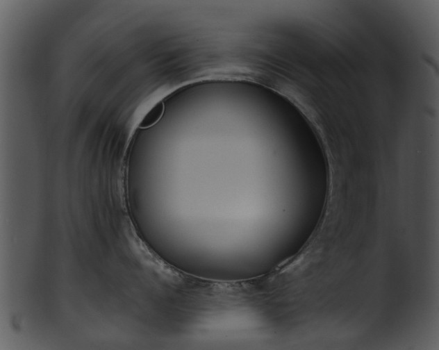 X0000101420960200807141151