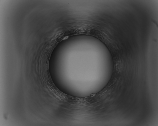 X0000101420961200807141151