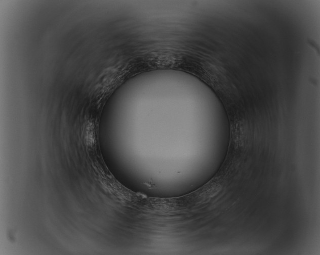 X0000101420962200807141151