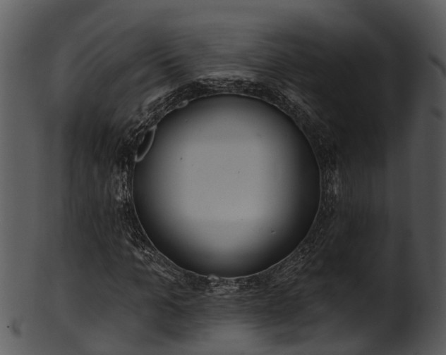 X0000101420965200807141151