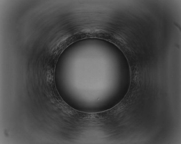 X0000101420966200807141151