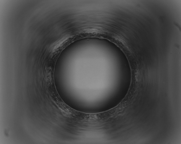 X0000101420968200807141151