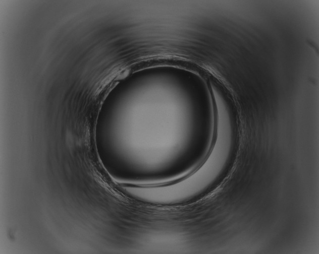 X0000101420969200807141151