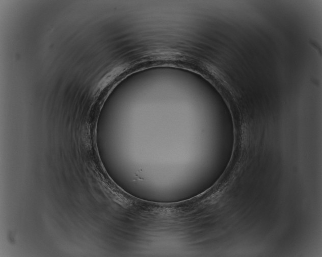 X0000101420970200807141151