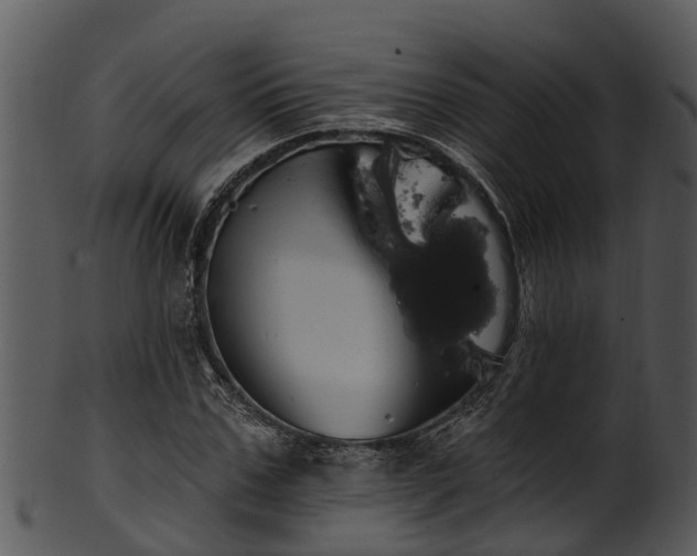 X0000101420971200807141151