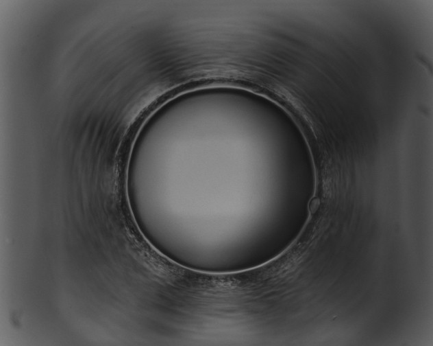 X0000101420975200807141150
