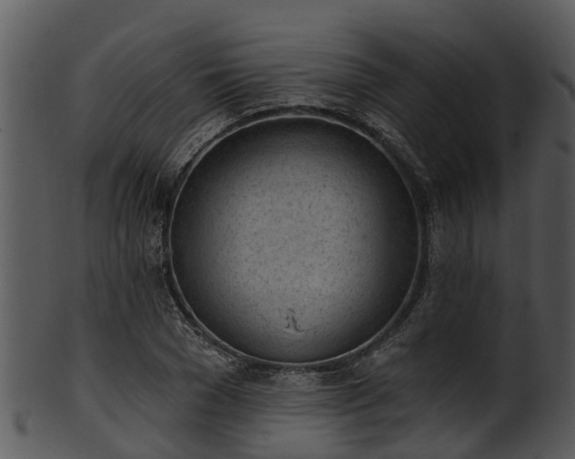 X0000101420977200807141150