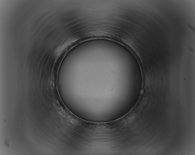 X0000101420979200807141150