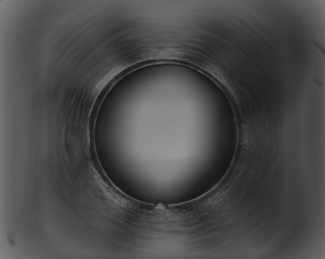 X0000101420980200807141150
