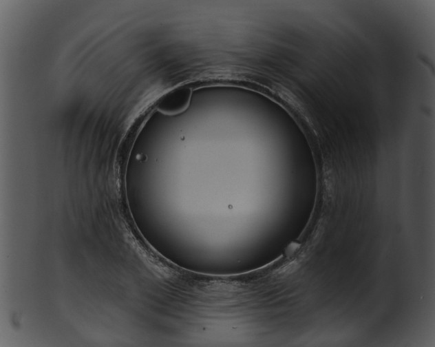 X0000101420981200807141150
