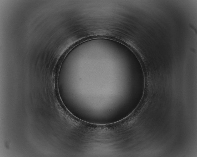 X0000101420983200807141150