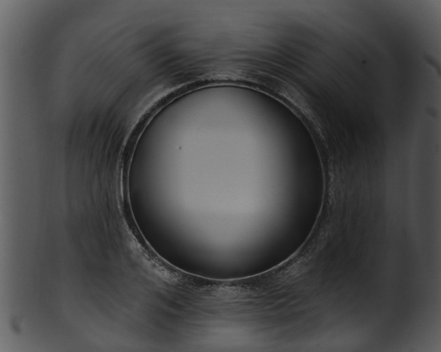 X0000101420984200807141150