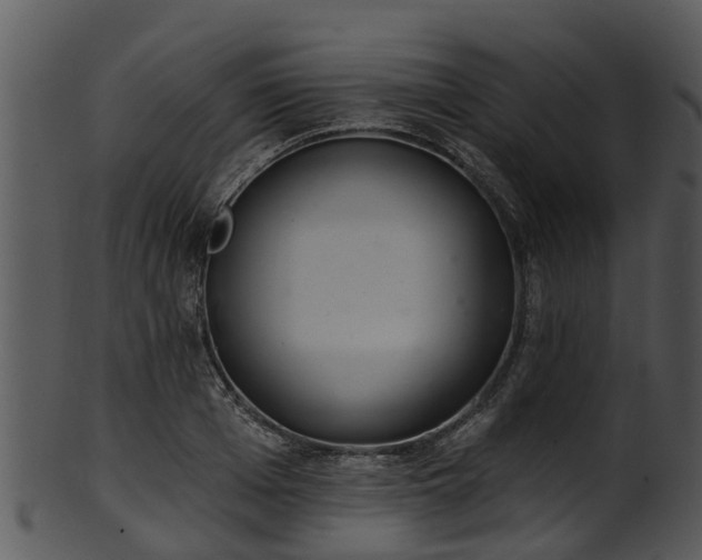 X0000101420985200807141150